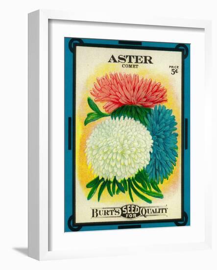 Aster Seed Packet-Lantern Press-Framed Art Print