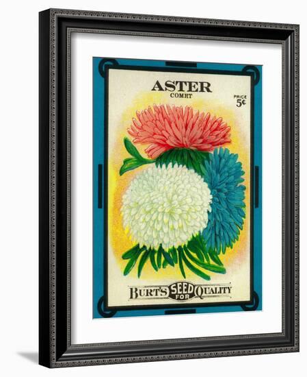 Aster Seed Packet-Lantern Press-Framed Art Print