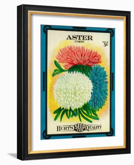 Aster Seed Packet-Lantern Press-Framed Art Print