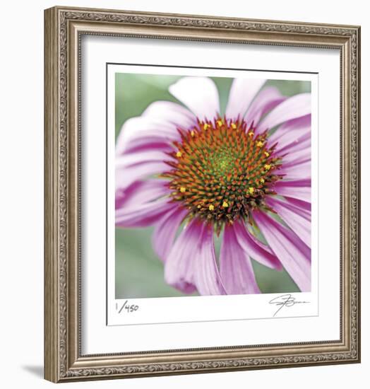 Aster-Ken Bremer-Framed Limited Edition