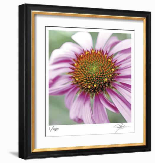 Aster-Ken Bremer-Framed Limited Edition