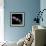 Aster-Magda Indigo-Framed Photographic Print displayed on a wall