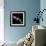 Aster-Magda Indigo-Framed Photographic Print displayed on a wall