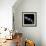 Aster-Magda Indigo-Framed Photographic Print displayed on a wall