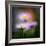 Aster-Ursula Abresch-Framed Photographic Print