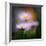 Aster-Ursula Abresch-Framed Photographic Print