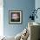 Aster-Ursula Abresch-Framed Photographic Print displayed on a wall