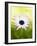 Aster-Angela Drury-Framed Photographic Print