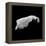 Asteroid 243 Ida-Stocktrek Images-Framed Premier Image Canvas