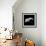 Asteroid 243 Ida-Stocktrek Images-Framed Photographic Print displayed on a wall