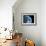 Asteroid Approaching Earth, Artwork-null-Framed Photographic Print displayed on a wall