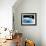 Asteroid Approaching Earth, Artwork-null-Framed Photographic Print displayed on a wall