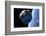 Asteroid Approaching Earth-null-Framed Photographic Print