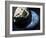 Asteroid Approaching Earth-null-Framed Photographic Print