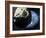 Asteroid Approaching Earth-null-Framed Photographic Print