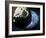 Asteroid Approaching Earth-null-Framed Photographic Print