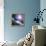 Asteroid Approaching Earth-null-Framed Premier Image Canvas displayed on a wall