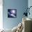 Asteroid Approaching Earth-null-Framed Premier Image Canvas displayed on a wall