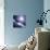 Asteroid Approaching Earth-null-Photographic Print displayed on a wall