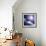 Asteroid Approaching Earth-null-Framed Photographic Print displayed on a wall