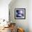 Asteroid Approaching Earth-null-Framed Photographic Print displayed on a wall