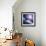 Asteroid Approaching Earth-null-Framed Photographic Print displayed on a wall