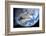 Asteroid Approaching Earth-null-Framed Photographic Print