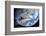 Asteroid Approaching Earth-null-Framed Photographic Print