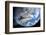 Asteroid Approaching Earth-null-Framed Photographic Print