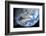 Asteroid Approaching Earth-null-Framed Photographic Print