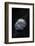 Asteroid, Artwork-null-Framed Photographic Print