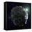 Asteroid, Artwork-null-Framed Premier Image Canvas