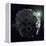 Asteroid, Artwork-null-Framed Premier Image Canvas