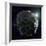 Asteroid, Artwork-null-Framed Photographic Print