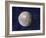 Asteroid Ceres, Artwork-Chris Butler-Framed Photographic Print