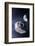 Asteroid Deflection Using Foil-null-Framed Photographic Print