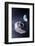 Asteroid Deflection Using Foil-null-Framed Photographic Print