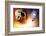 Asteroid Deflection Using Nuclear Explosion-null-Framed Photographic Print