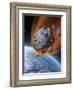 Asteroid Hurtling Towards Earth-null-Framed Art Print