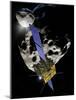 Asteroid Impact Mission-null-Mounted Photographic Print