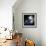 Asteroid Impact Mission-null-Framed Photographic Print displayed on a wall