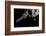 Asteroid Impact Mission-null-Framed Photographic Print