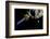 Asteroid Impact Mission-null-Framed Photographic Print