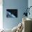 Asteroid in Front of the Earth-Stocktrek Images-Photographic Print displayed on a wall