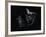 Asteroid in Space-Stocktrek Images-Framed Photographic Print