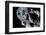 Asteroid Mining-null-Framed Photographic Print