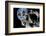 Asteroid Mining-null-Framed Photographic Print