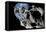 Asteroid Mining-null-Framed Premier Image Canvas