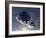 Asteroid Mining-null-Framed Photographic Print