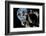 Asteroid Mining-null-Framed Photographic Print